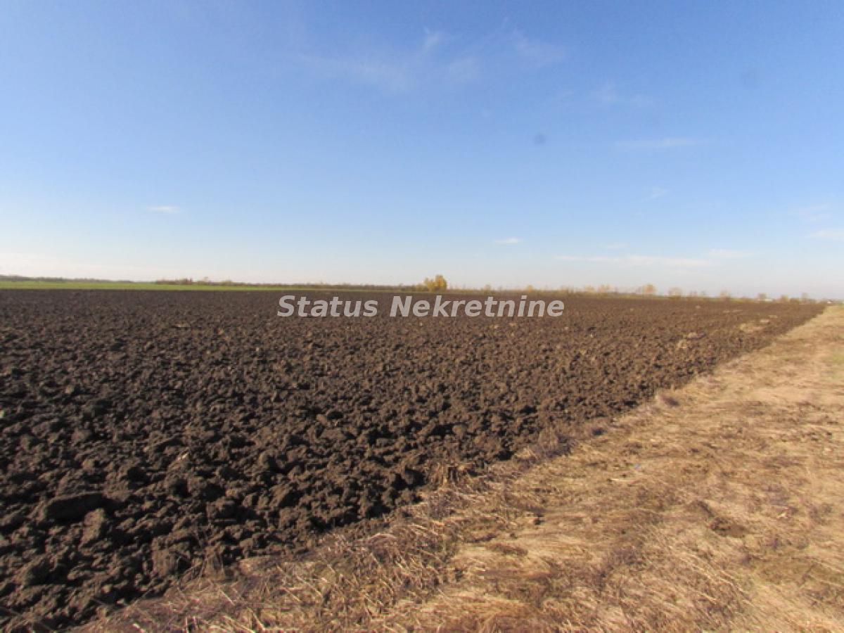 Plac na prodaju, Sremska Mitrovica, 604,5 ari, 226.600 €