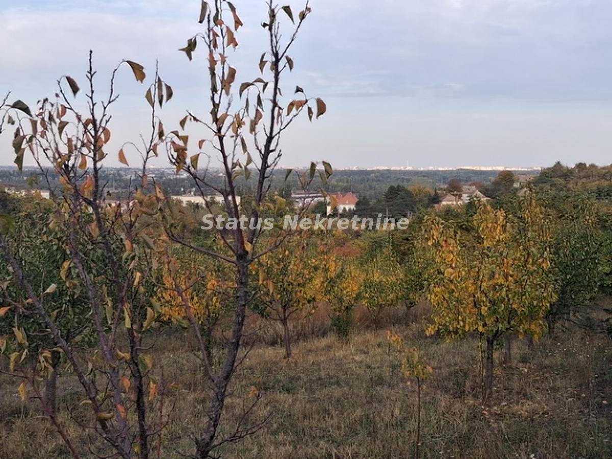 Plac na prodaju, Centar, Beočin, 75 ari, 113.300 €