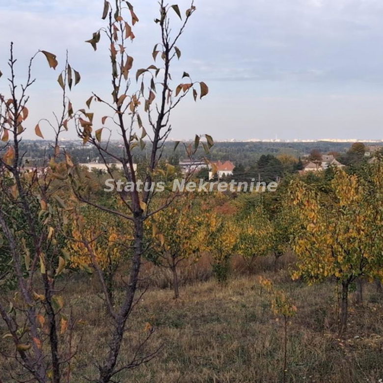 Plac na prodaju, Centar, Beočin, 75 ari, 113.300 €