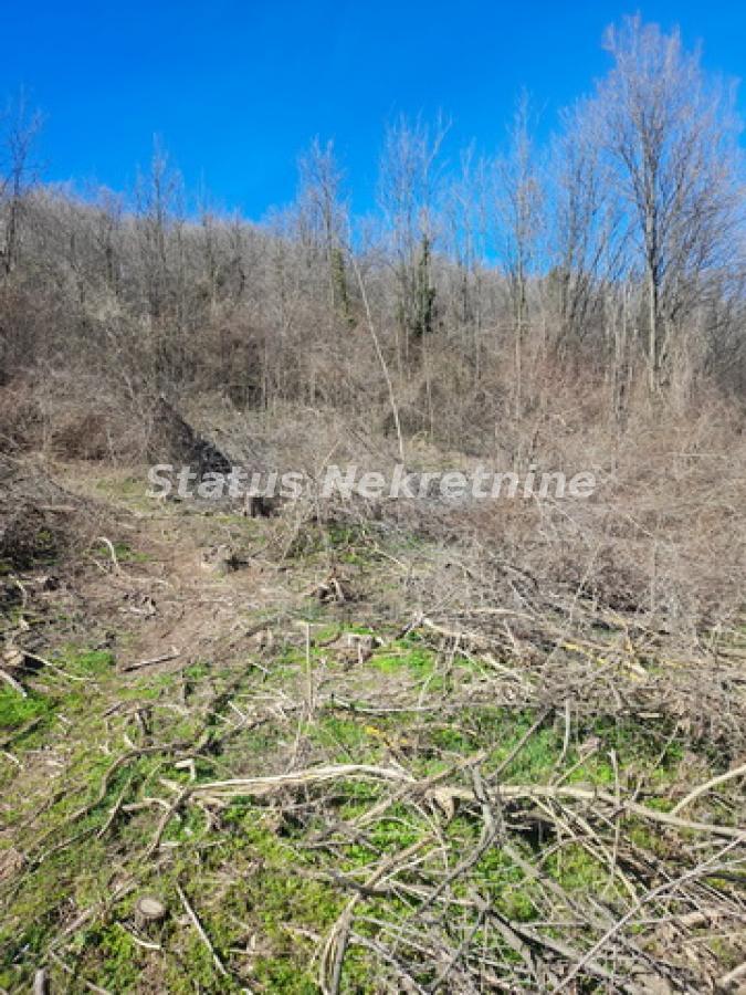 actionimagesite31agencystatusimgx7mbzxazbz-20230313-124552-resize Plac na prodaju, Sremski Karlovci, 70,25 ari, 59.000 €