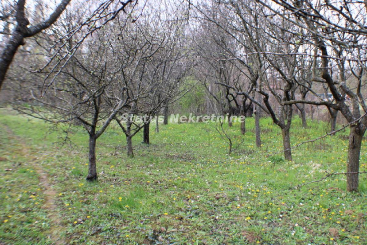 actionimagesite31agencystatusimgxgwk2u6eiv-img-0253-resize Plac na prodaju, Inđija, 21,65 ari, 49.000 €