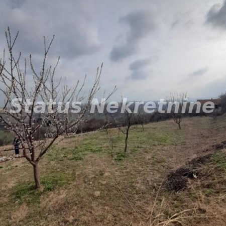Plac na prodaju, Petrovaradin, Novi Sad, 36,25 ari, 169.950 €