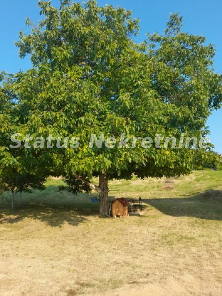 actionimagesite31agencystatusimgynzewkxzyb-20220729-180440-resize Kuća na prodaju, Beočin, 90m², 164.800 €
