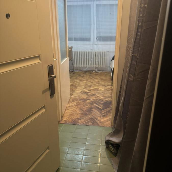 Jednoiposoban stan za izdavanje, Detelinara, Novi Sad, 32m², 300 €/mes