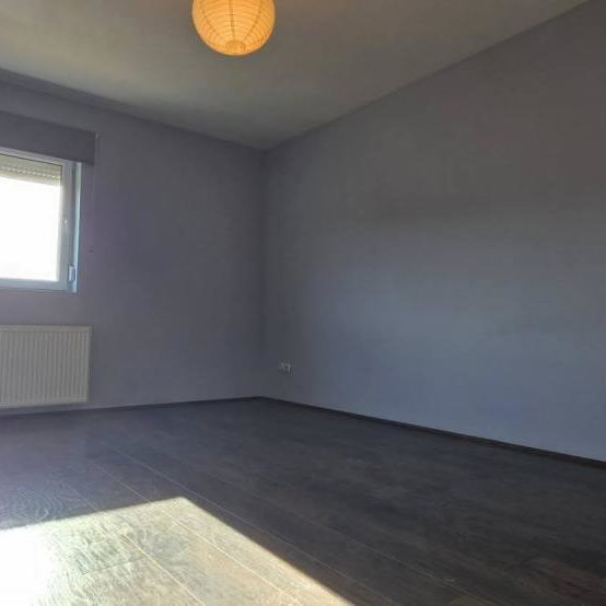 Kuća na prodaju, Bukovac, Novi Sad, 312m², 155.000 €