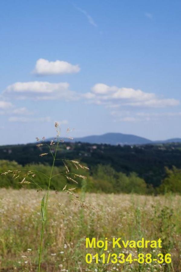 Plac Prodaja Beograd Beljina 0 m2