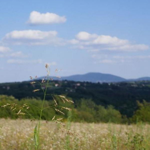 Plac Prodaja Beograd Beljina 0 m2