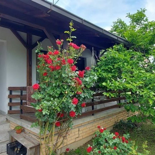 Kuća Prodaja Beograd Rajkovac 240 m2