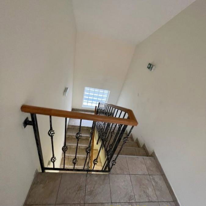 Lokal Izdavanje Beograd Gornji Grad 356 m2