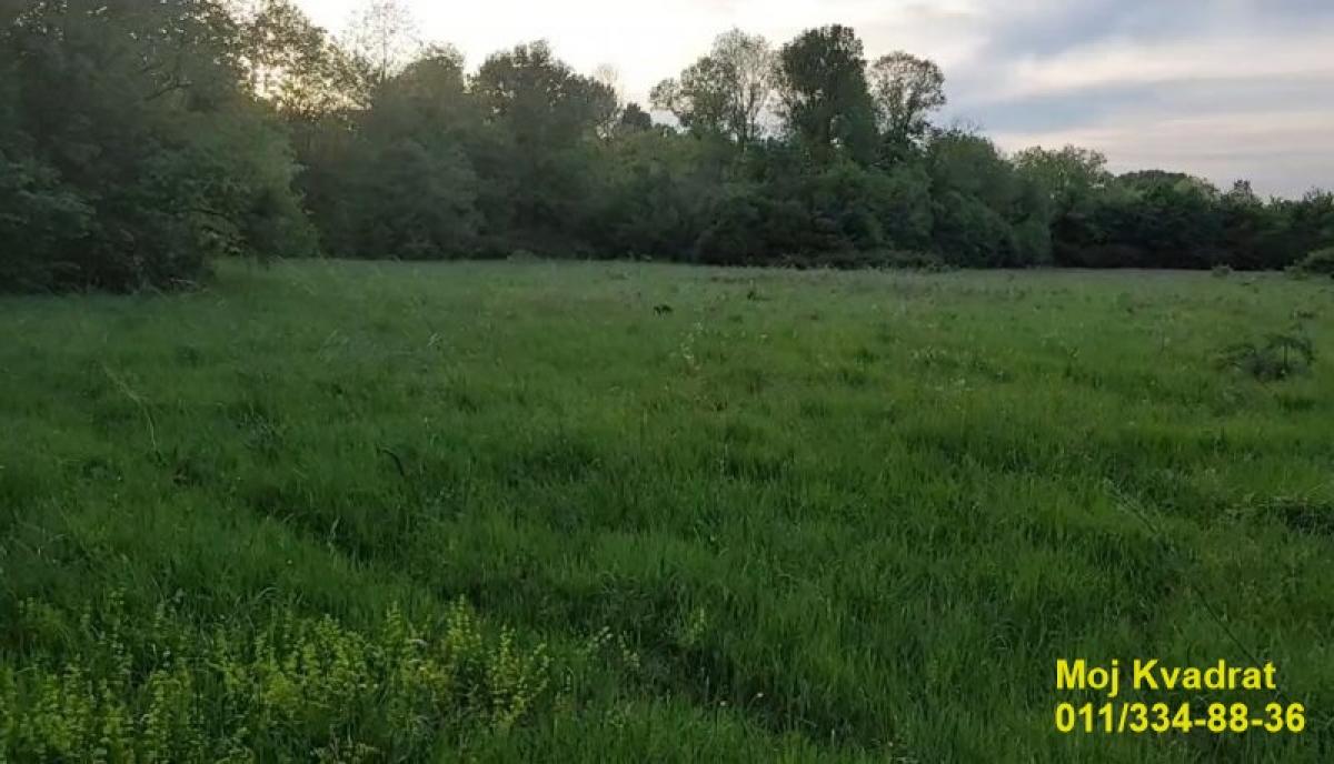 Plac Prodaja Beograd Plac Prodaja Beograd Draževac 0 m2