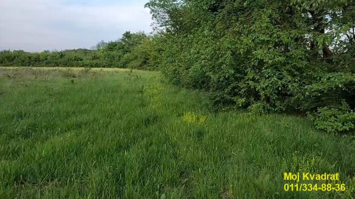 Plac Prodaja Beograd Plac Prodaja Beograd Draževac 0 m2