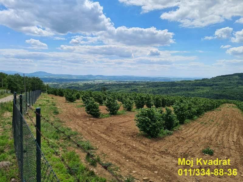 Plac Prodaja Beograd Plac Prodaja Beograd Koraćica 0 m2