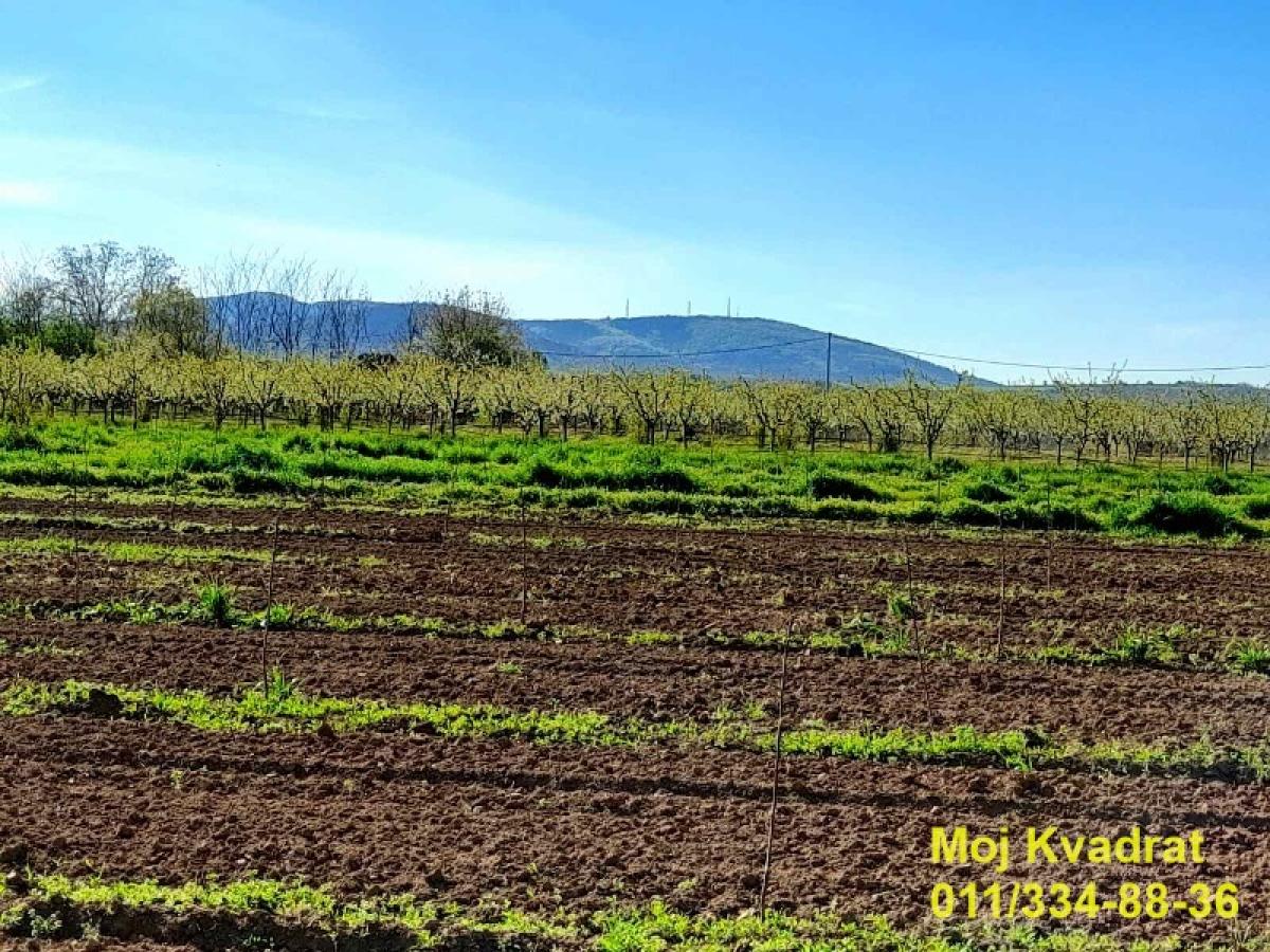 Plac Prodaja Beograd Plac Prodaja Beograd Mala Vrbica 0 m2
