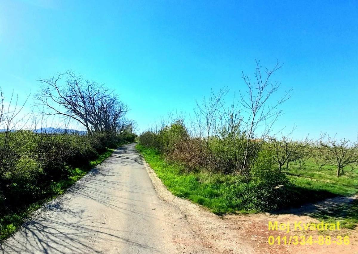 Plac Prodaja Beograd Plac Prodaja Beograd Mala Vrbica 0 m2