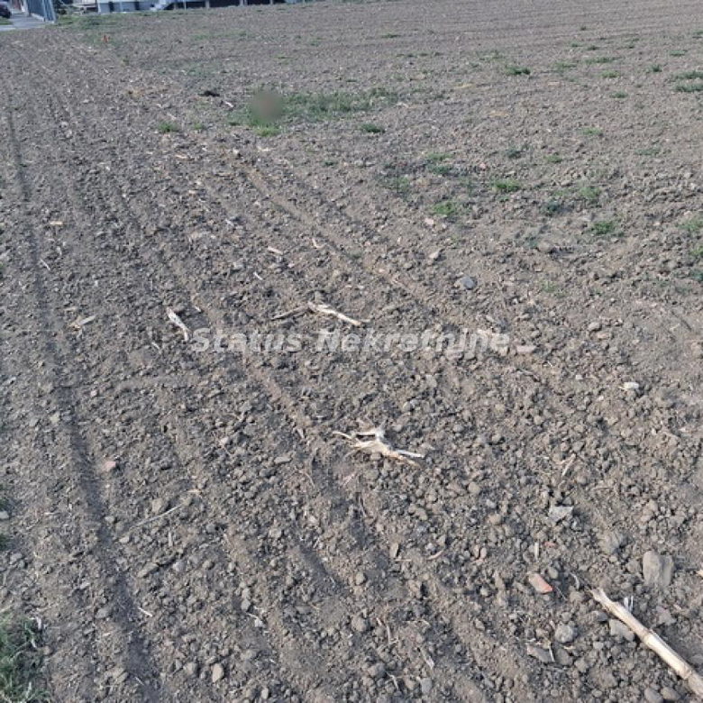 Plac Prodaja Novi Sad  0 m2