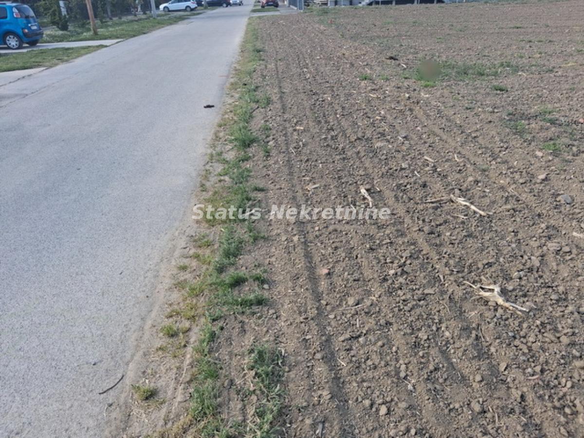 Plac Prodaja Novi Sad  0 m2