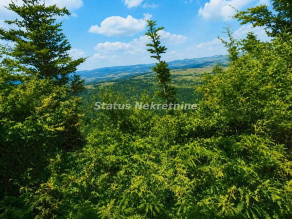Plac Prodaja Požega  0 m2