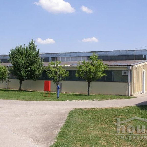 Lokal Izdavanje Novi Sad  1875 m2