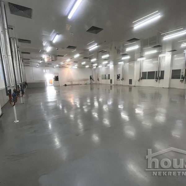 Lokal za izdavanje, Bački Petrovac, 1875m², 5.250 €/mes