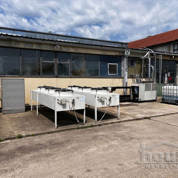 Lokal za izdavanje, Bački Petrovac, 1875m², 5.250 €/mes