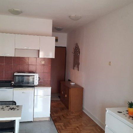 Stan Izdavanje Novi Sad  24 m2