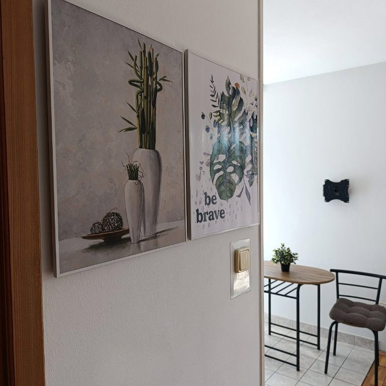 Stan Izdavanje Novi Sad  24 m2