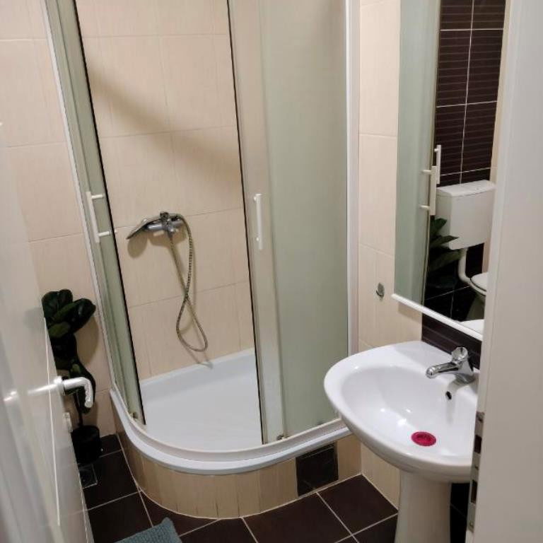 Jednosoban stan za izdavanje, Nova Detelinara, Novi Sad, 31m², 300 €/mes