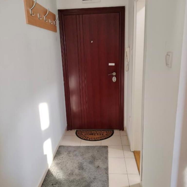 Jednosoban stan za izdavanje, Nova Detelinara, Novi Sad, 31m², 300 €/mes