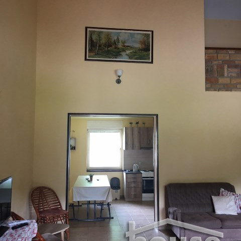 Kuća Izdavanje Novi Sad  217 m2