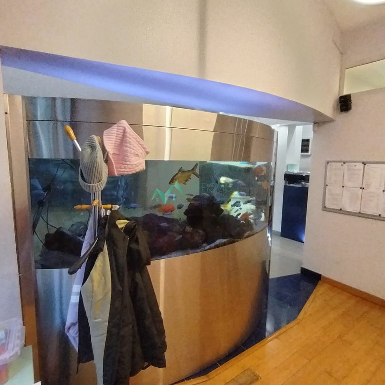 Lokal na prodaju, Socijalno, Novi Sad, 69m², 1.000 €