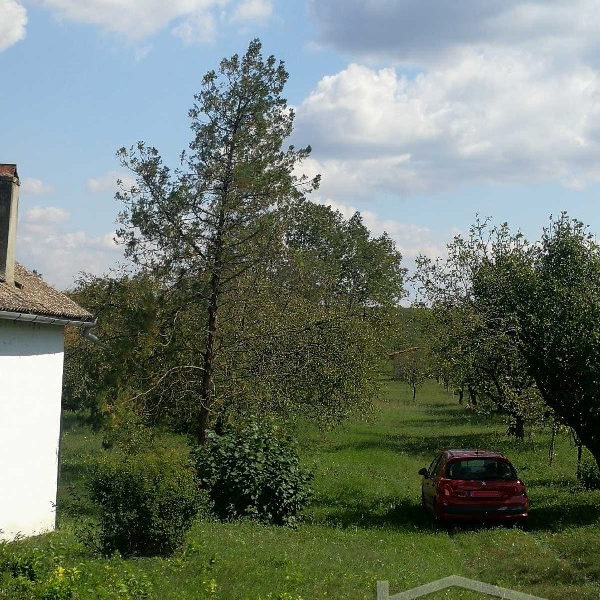 Kuća Prodaja Novi Sad  60 m2