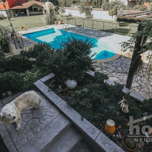 Kuća Prodaja Novi Sad  370 m2