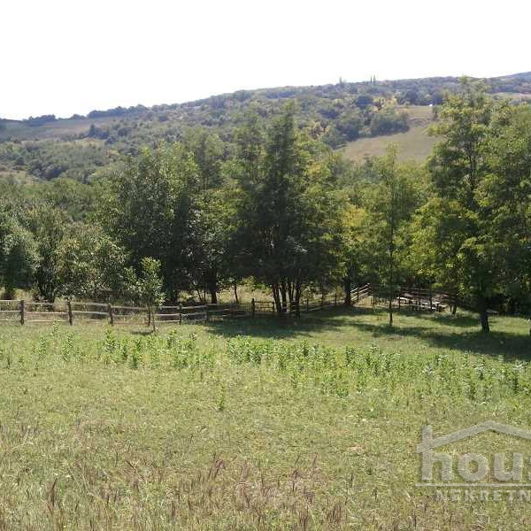 Kuća Prodaja Novi Sad  20 m2