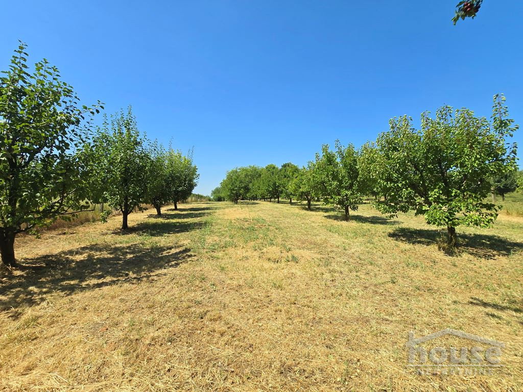 Kuća na prodaju, Banstol, Sremski Karlovci, 69m², 123.600 €