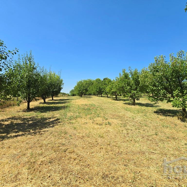 Kuća na prodaju, Banstol, Sremski Karlovci, 69m², 123.600 €