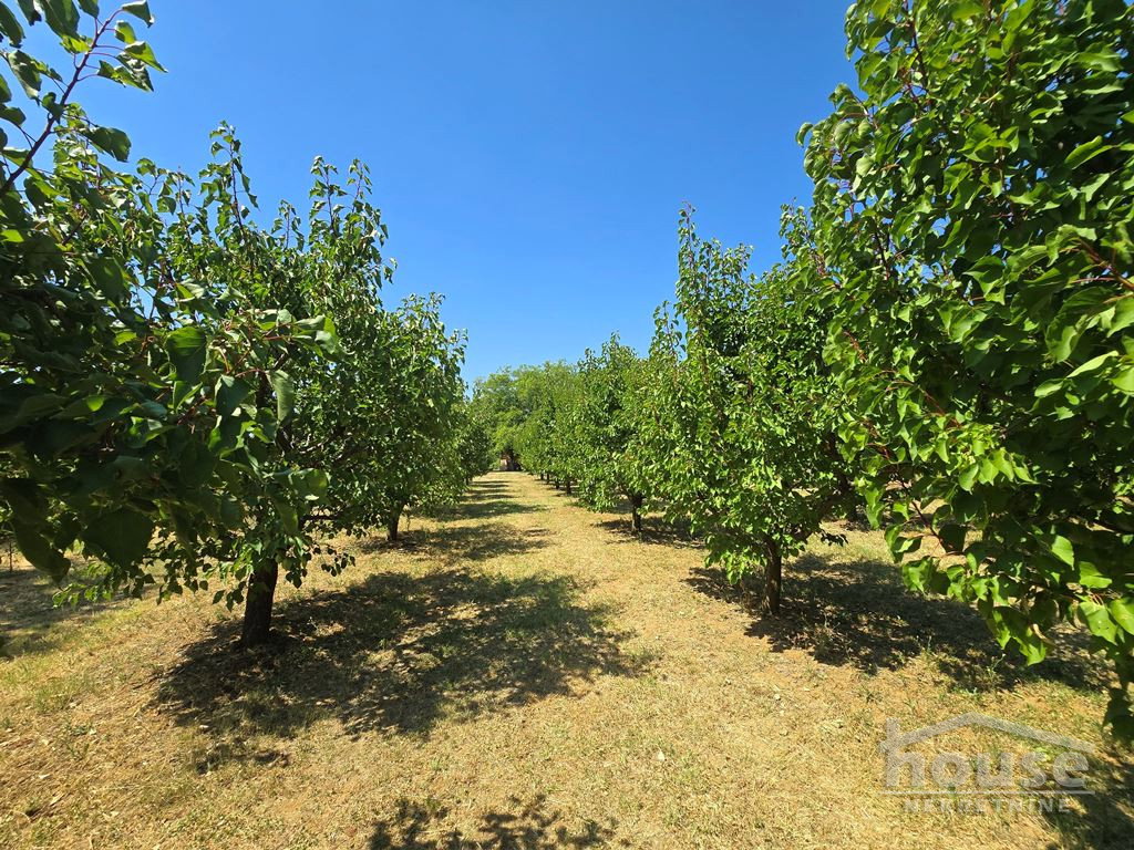 Kuća na prodaju, Banstol, Sremski Karlovci, 69m², 123.600 €