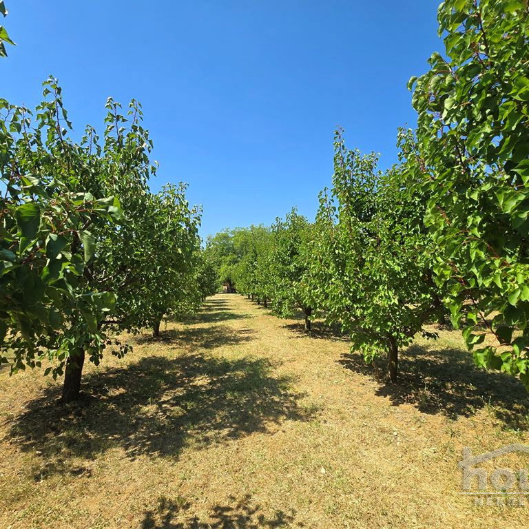 Kuća na prodaju, Banstol, Sremski Karlovci, 69m², 123.600 €