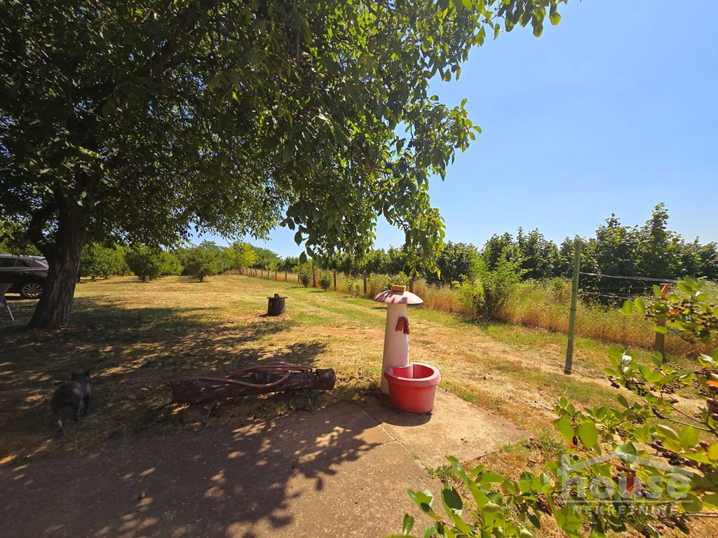 Kuća na prodaju, Banstol, Sremski Karlovci, 69m², 123.600 €