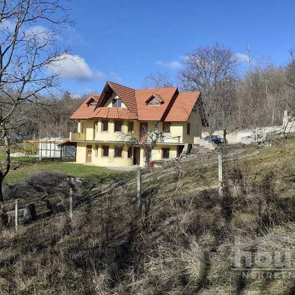 Kuća Prodaja Novi Sad  436 m2