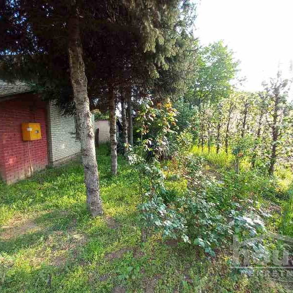 Kuća Prodaja Novi Sad  147 m2