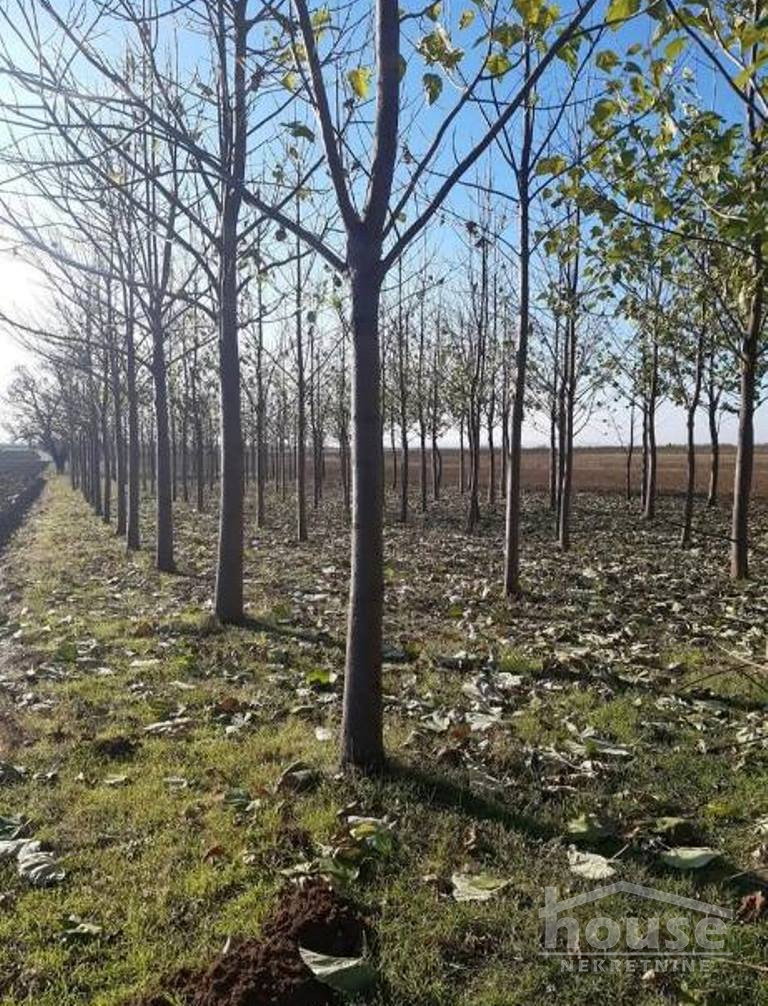 Kuća Prodaja Novi Sad Kuća Prodaja Novi Sad 60 m2