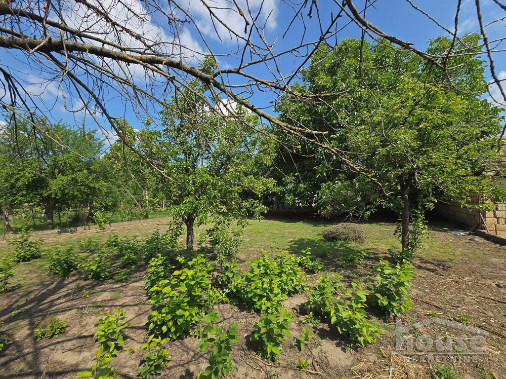 Kuća na prodaju, Zmajevo, Vrbas, 255m², 150.000 €