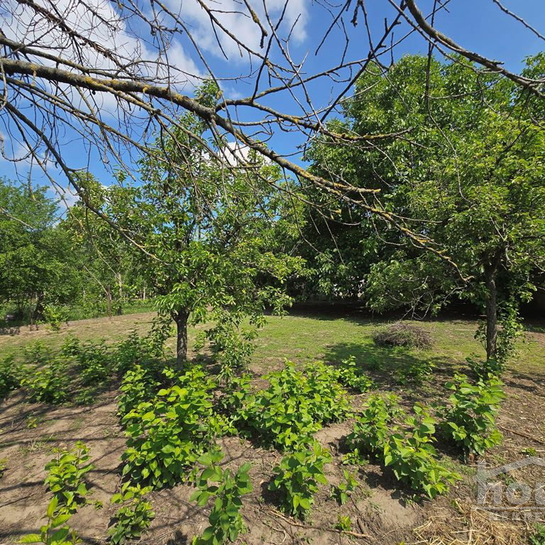 Kuća na prodaju, Zmajevo, Vrbas, 255m², 150.000 €