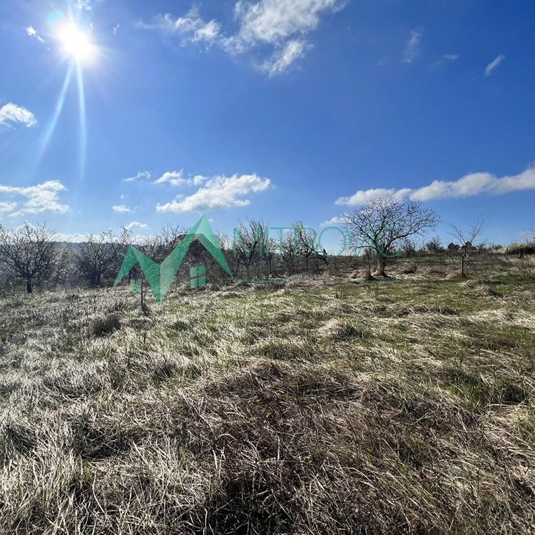 Plac na prodaju, Banstol, Sremski Karlovci, 8048m², 414.470 €