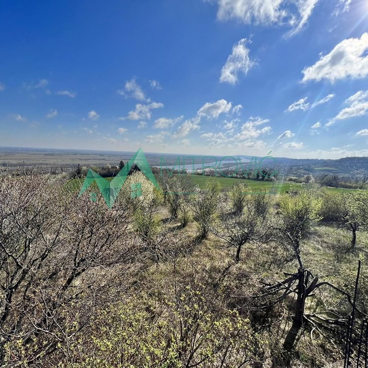 Plac na prodaju, Banstol, Sremski Karlovci, 8048m², 414.470 €