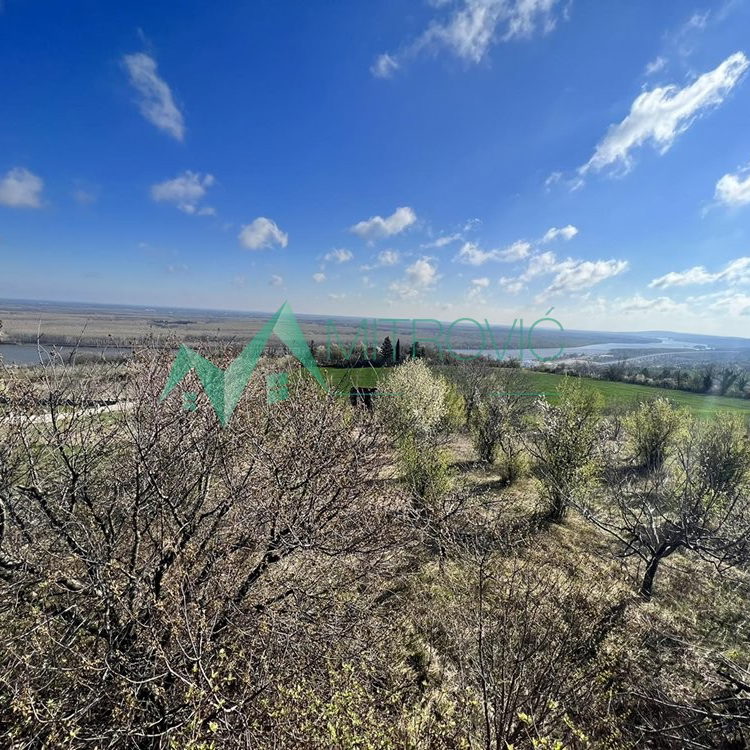 Plac na prodaju, Banstol, Sremski Karlovci, 8048m², 414.470 €