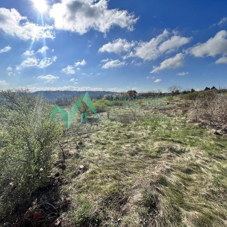 Plac na prodaju, Banstol, Sremski Karlovci, 8048m², 414.470 €