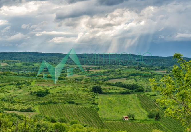placevi-Cortanovci-7000142-xffvk Plac na prodaju, Čortanovci, Inđija, 3615m², 37.230 €