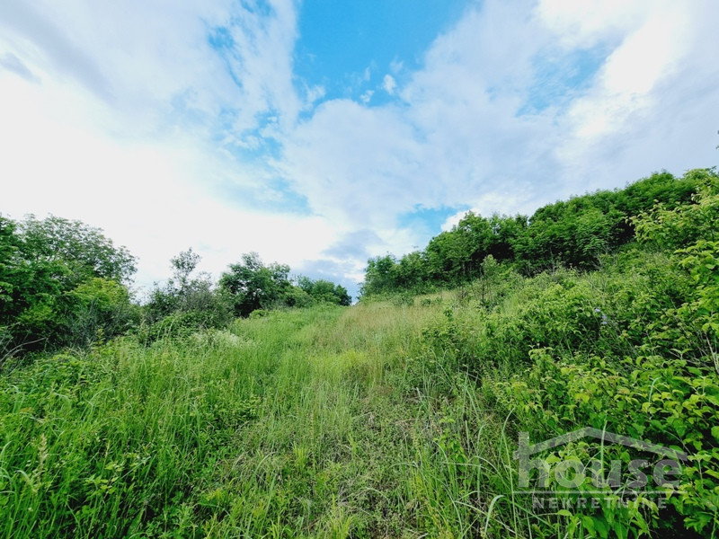 Plac Prodaja Novi Sad Plac Prodaja Novi Sad 8470 m2