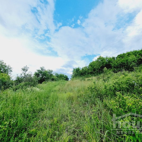 Plac Prodaja Novi Sad  8470 m2